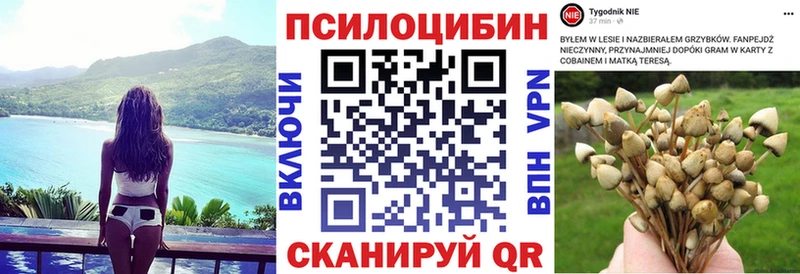 это клад  Углич  Галлюциногенные грибы прущие грибы 